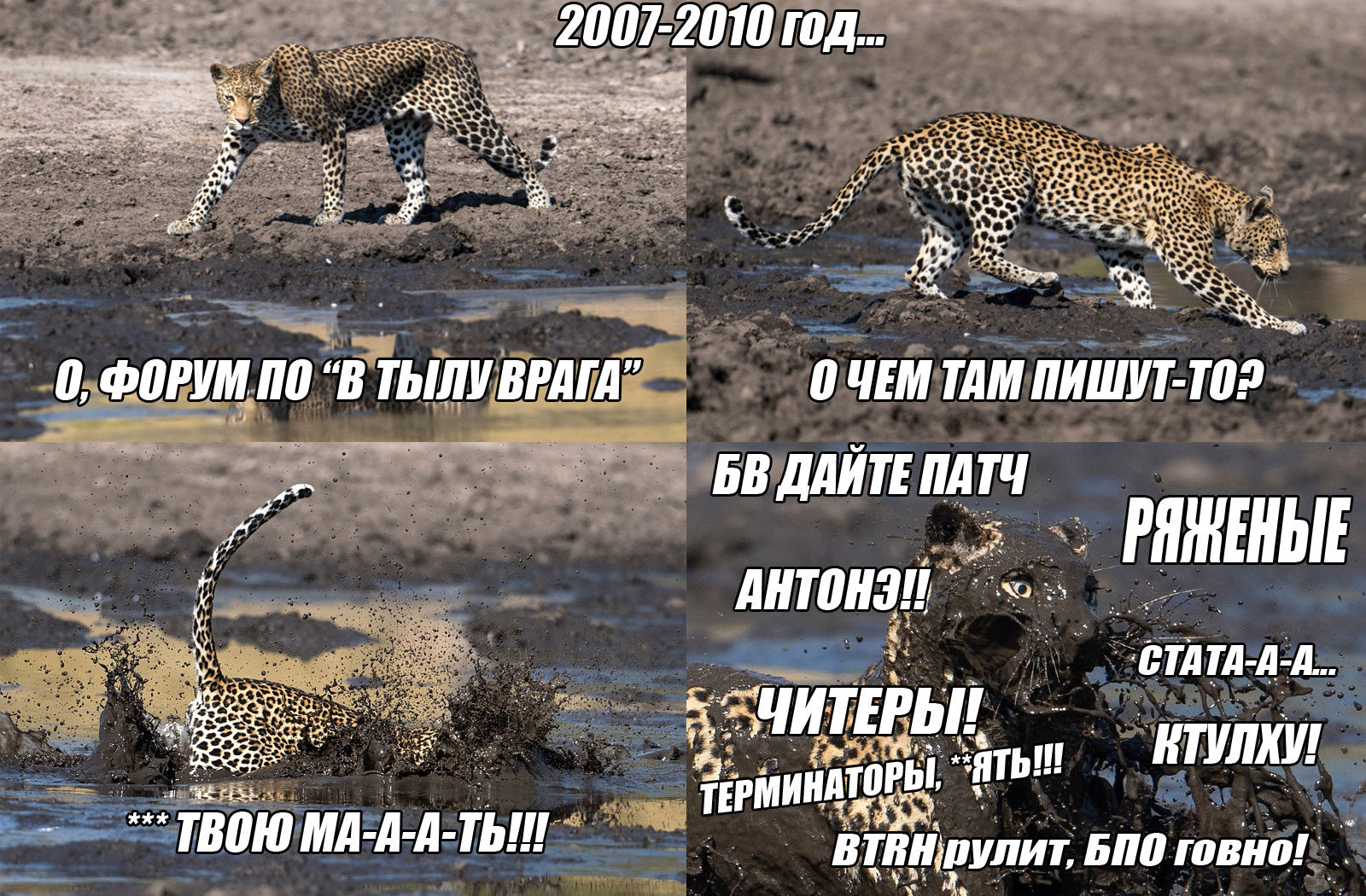 chtulhu:mem_leopard.jpg