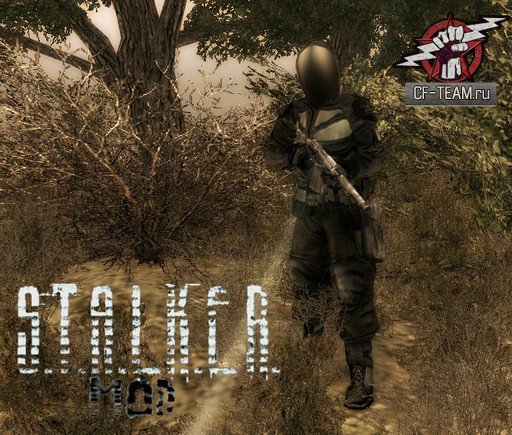 Stalker - The Zone ЛП/ШТУРМ