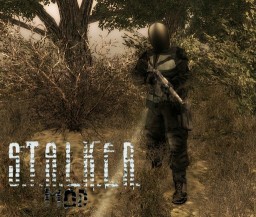Stalker - The Zone ЛП/ШТУРМ